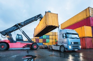 Nest Coast Consult Expertise